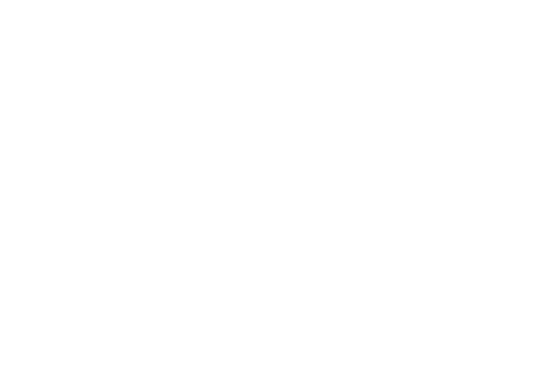 ST Sicherheit & Service GmbH Icon