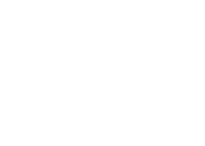 ST Sicherheit & Service GmbH